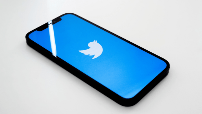 Twitter app logo on a smartphone screen