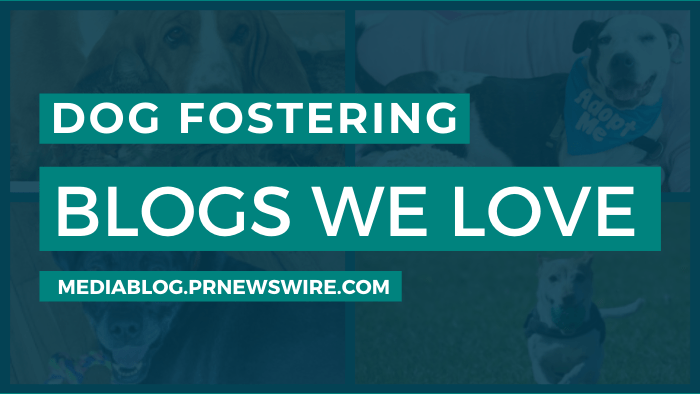 Dog Fostering Blogs We Love - mediablog.prnewswire.com