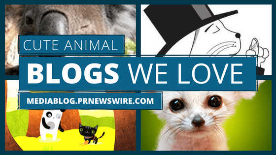 cute animal blogs